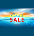 summer sale background template vector image vector image