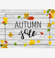 wooden autumn border leaf background vector image vector image