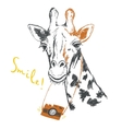 fun sketch of a giraffe photographer vector image