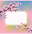 template greeting card with blossoming branches vector image