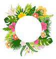 tropical leaves flowers vector image