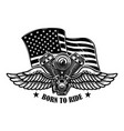 twin engine with wings on american flag vector image vector image