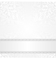 white background vector image