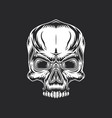 stylized monochrome skull vector image vector image