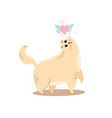 postcard with a cute hand drawn cat vector image