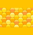 honey and wax vector image vector image