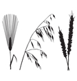 crops vector image