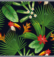 tropical jungle fowers leaves toucan seamless vector image