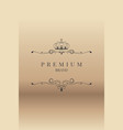 ornamental premium design vector image