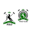 polo club emblem with horse and sport items vector image