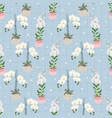 white phalaenopsis and dendrobium orchid on blue vector image vector image