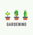pot plants gardening concept vector image