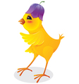 baby bird vector image vector image