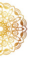 clean white cover with gold beautiful flower vector image vector image