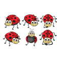 Ladybugs Royalty Free Vector Image - VectorStock