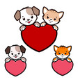 cartoon dog cat icon vector image