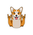 cute welsh corgi with horns vector image vector image