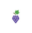 grape logo vector image vector image