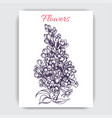 hand draw colorful with lilac vector image