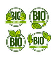 bio product doodle organic leaves emblems vector image
