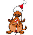 dog with christmas cane cartoon vector image