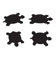 turtle vector image vector image
