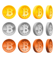 set of bitcoins vector image