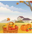 harvest vector image vector image