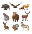 cartoon forest animals set vector image