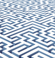 maze vector image vector image