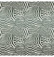 animal zebra seamless background vector image