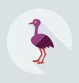 flat modern design with shadow icons ostrich vector image vector image