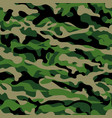 seamless camouflage pattern vector image
