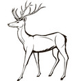 deer wildlife animal christmas forest horned vector image vector image