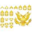 army rank insignia icons vector image