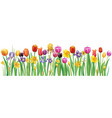 border with multicolor spring flowers vector image