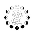 moon phases and celestial snake in outline style vector image