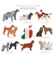 dogs country origin irish dog breeds vector image
