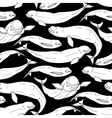 graphic beluga whale pattern vector image