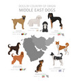 dogs country origin middle east dog breeds vector image