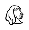 head a basset hound or scent hound side view vector image vector image