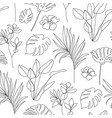 tropical flower linear seamless background vector image