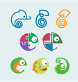 chameleon reptile animal logo design vector image vector image