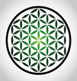 flower of life vector image