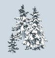hand drawn winter fir trees vector image vector image