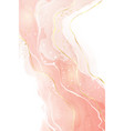 pastel rose peach liquid watercolor background vector image vector image