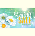 spring sale concept summer background vector image