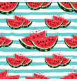 watermelon seamless pattern hand-drawn juicy vector image vector image
