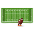 american football field vector image vector image