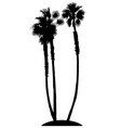 palm trees on island silhouette vector image